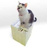 Stack of Cash