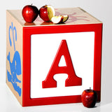 Toy Block Storage Box
