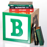 Toy Block Storage Box