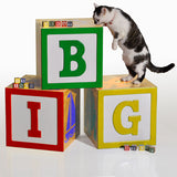 Toy Block Storage Box