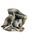 $100 Bill Bank Note