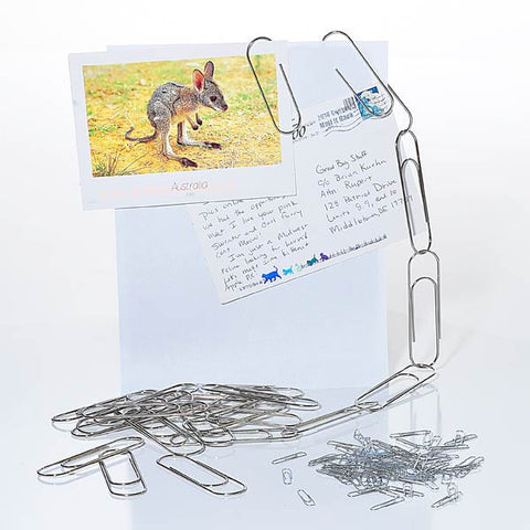4-Inch Paperclip Set