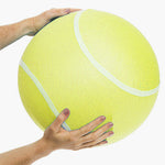 Mesh Tennis Ball