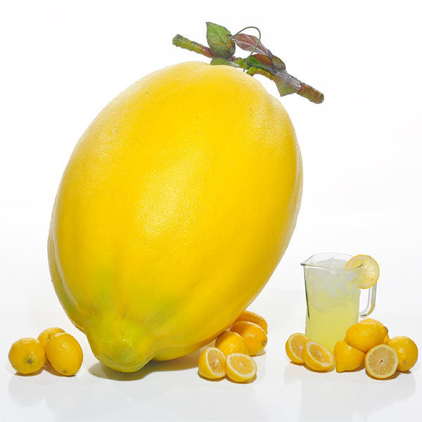 Lemon – GreatBigStuff.com