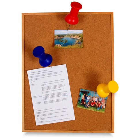 Push Pins (pair) –